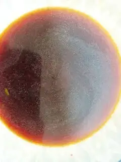 Make Five bouquets of bean noodles step 14