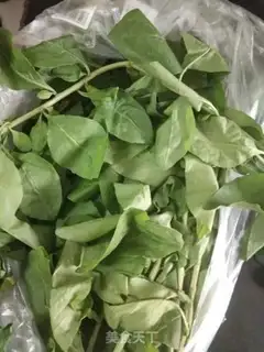 Make Scrawny and twig soup step 0