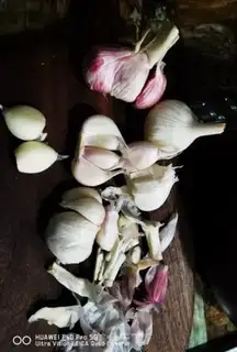 Make Crystal garlic step 1