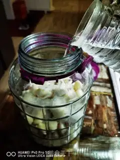 Make Crystal garlic step 4
