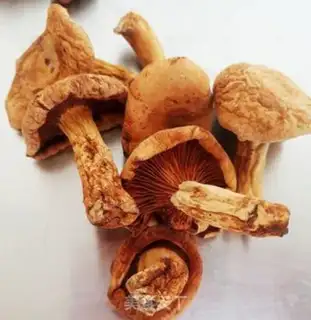 Make Mushroom chicken soup step 5