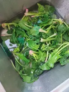 Make Pelican spinach step 0