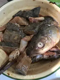 Make Celery roasts fish step 0