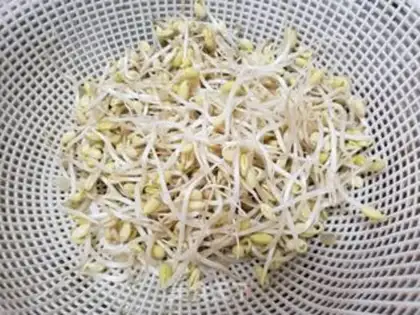 Make Spinach fried soybean sprouts step 1