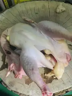 Make Carrot corn rooster step 0