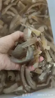 Make Shark step 0
