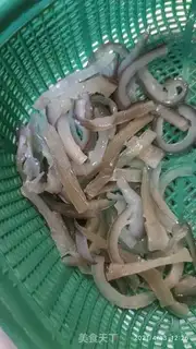 Make Shark step 1