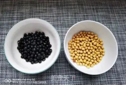 Make Soybean step 0