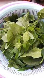 Make Soup with white flowers step 0