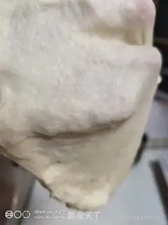 Make Salted yogurt step 3