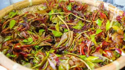 Make Sesame fragrance step 1