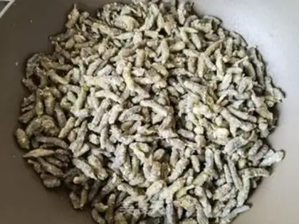 Make ♪ Little peppers of garlic ♪ step 13