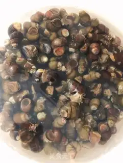 Make Snails step 0