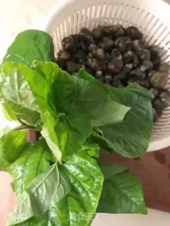 Make Snails step 1