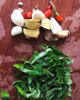 Make Snails step 2