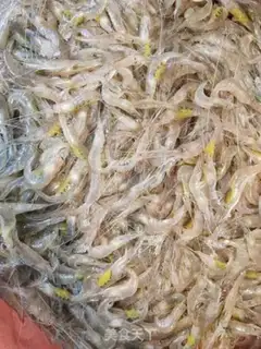 Make Chili shrimp step 0