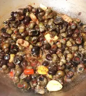 Make Snails step 4