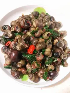 Make Snails step 5