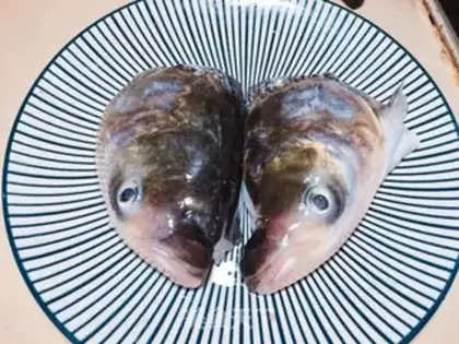 Make Fish head soup step 1