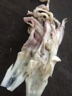 Make Squid