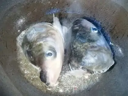Make Fish head soup step 2