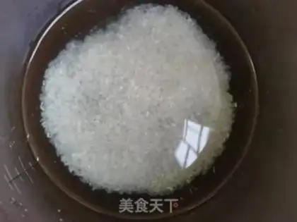 Make Squid