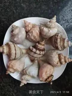 Make White burning conch step 0