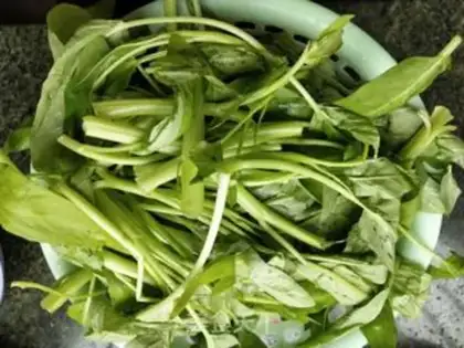 Make Clear the cabbage step 0