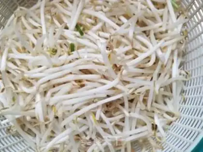 Make The bean sprouts with duck blood step 1