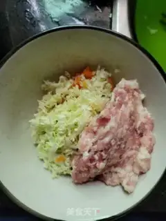 Make Pork cabbage carrots step 2