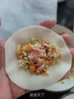 Make Pork cabbage carrots step 5