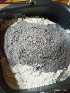 Make Black chompers step 1
