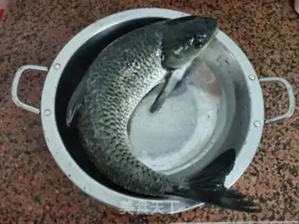 Make Sourfish step 0