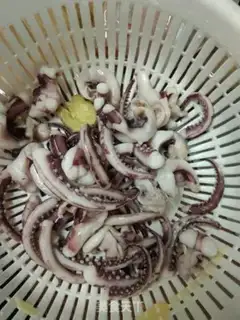 Make Squidfish scavengers step 1