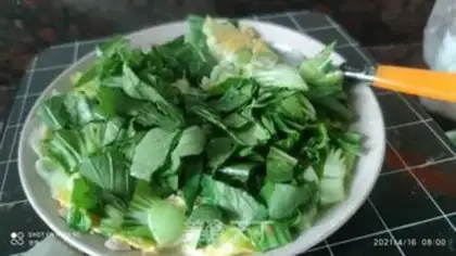 Make A green omelet step 3