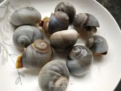 Make White conch step 6
