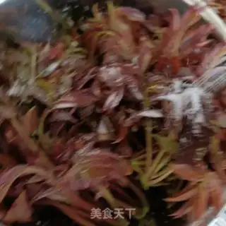 Make Garlic tasting step 5