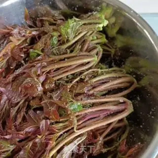 Make Garlic tasting step 6