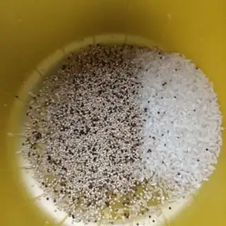 Make Three-coloured quinoa and potatoes step 0
