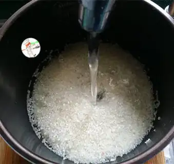 Make What