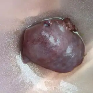 Make Garlic fried liver step 0