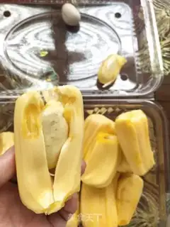Make The pineapple core step 1