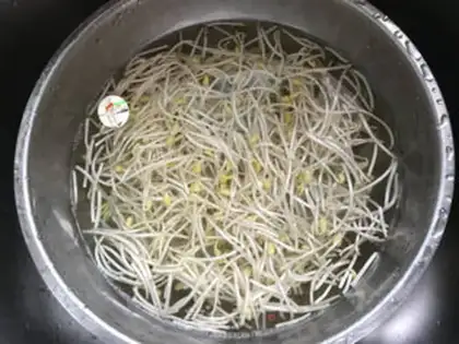 Make Jealousy bean sprouts step 2