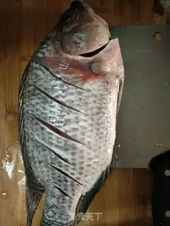 Make Creamfish step 0