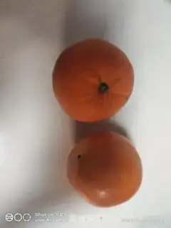 Make Orange juice step 0