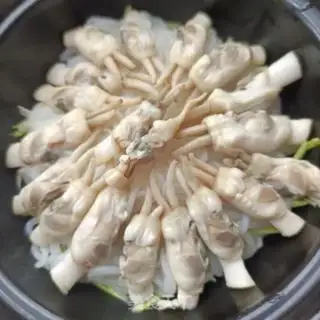 Make Garlic powder step 15