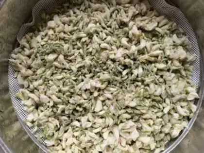 Make Little pepper garlic petals step 6
