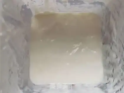 Make Sweet mango nut yogurt cup step 4