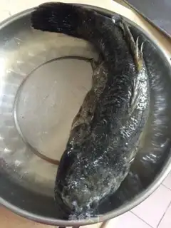Make Vacuated shellfish step 0