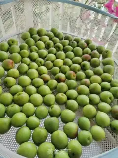 Make Blue plum wine step 1